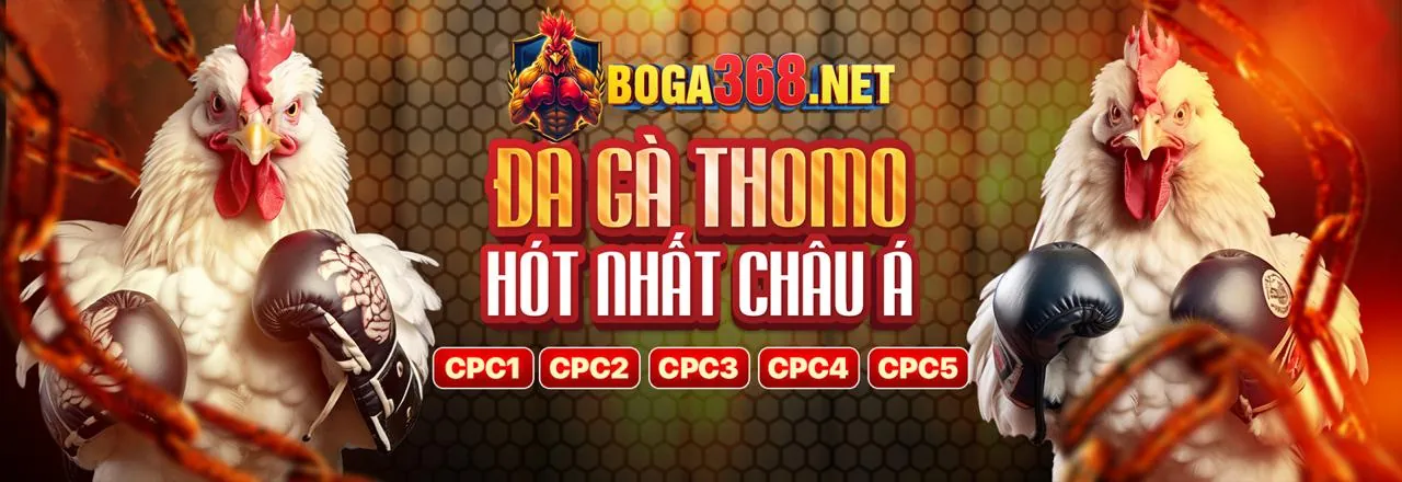 Đá gà cựa sắt kịch tính tại cwin99 nổ hũ